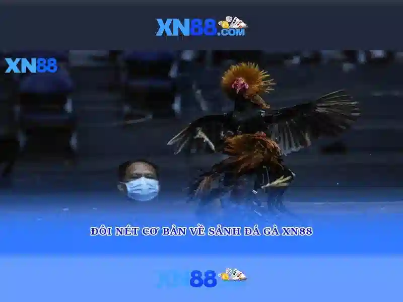 💎slot openen westvoorne💎 💎slot openen westvoorne💎