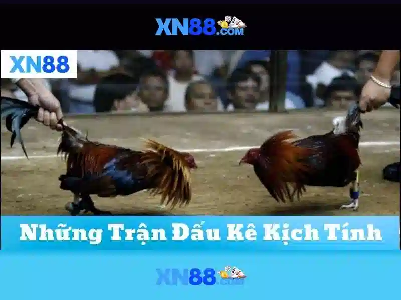 💎roma game slot💎 💎roma game slot💎