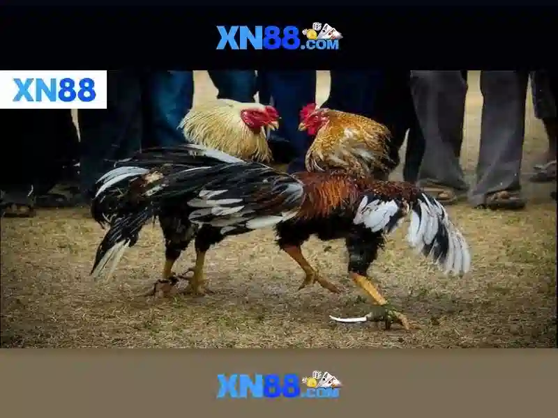 💎pixel 5 sim slot💎 💎pixel 5 sim slot💎