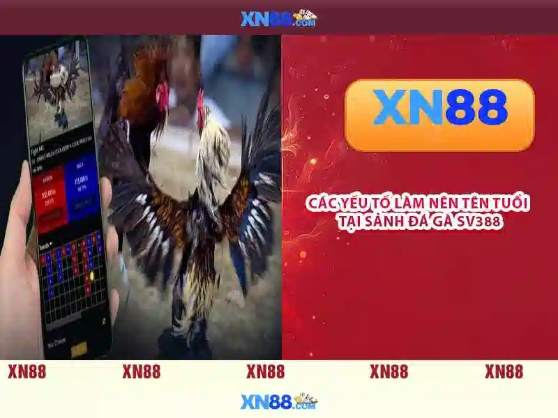 💎web game cá cược💎 💎web game cá cược💎