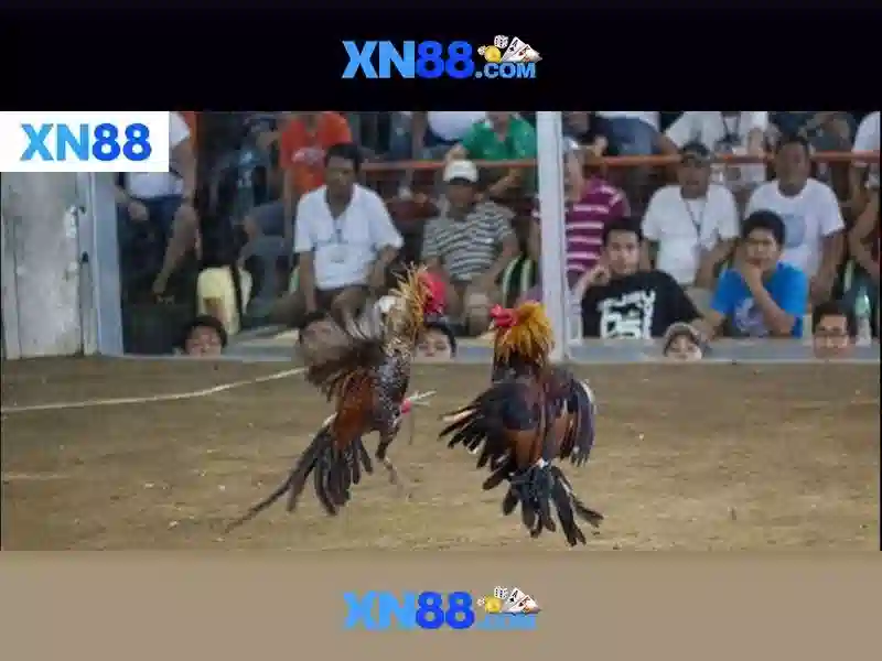 💎whitelist slot💎 💎whitelist slot💎