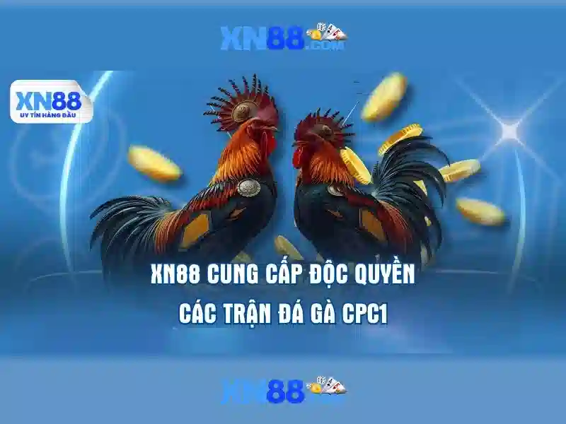 💎ty le ca cuoc tai xiu bong da hom nay💎 💎ty le ca cuoc tai xiu bong da hom nay💎