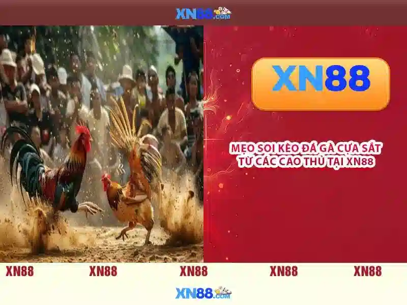 💎judge judy slot machine💎 💎judge judy slot machine💎