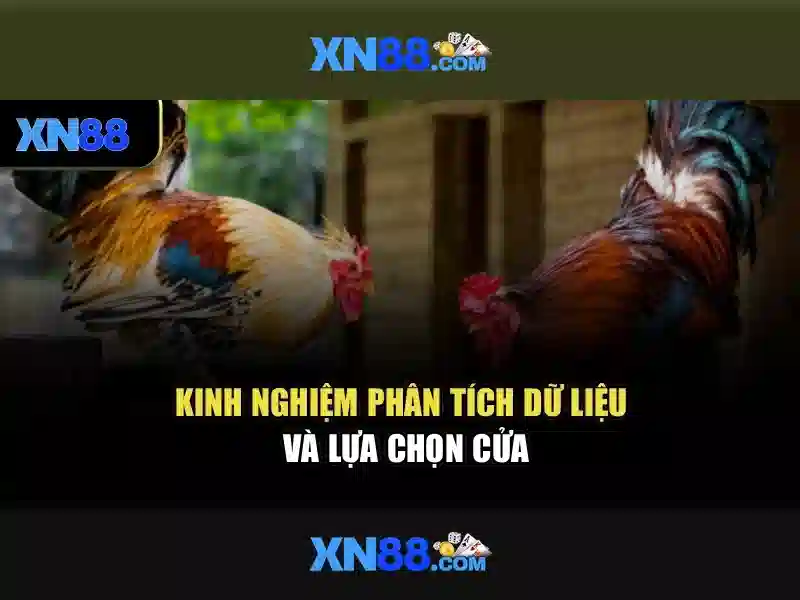 💎cá cược euro đêm nay💎 💎cá cược euro đêm nay💎