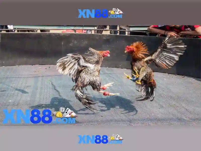 💎dragons law slots💎 💎dragons law slots💎