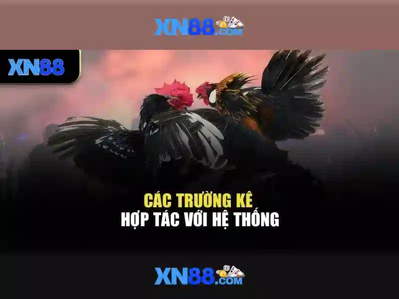 💎lava slot 777💎 💎lava slot 777💎