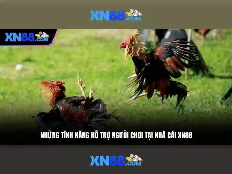 💎free online white orchid slots💎 💎free online white orchid slots💎