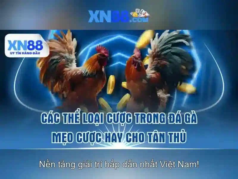 💎fairground slots legit💎 💎fairground slots legit💎