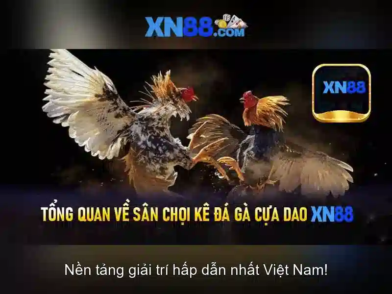 💎sửa chữa cải tạo nhà 2021💎 💎sửa chữa cải tạo nhà 2021💎