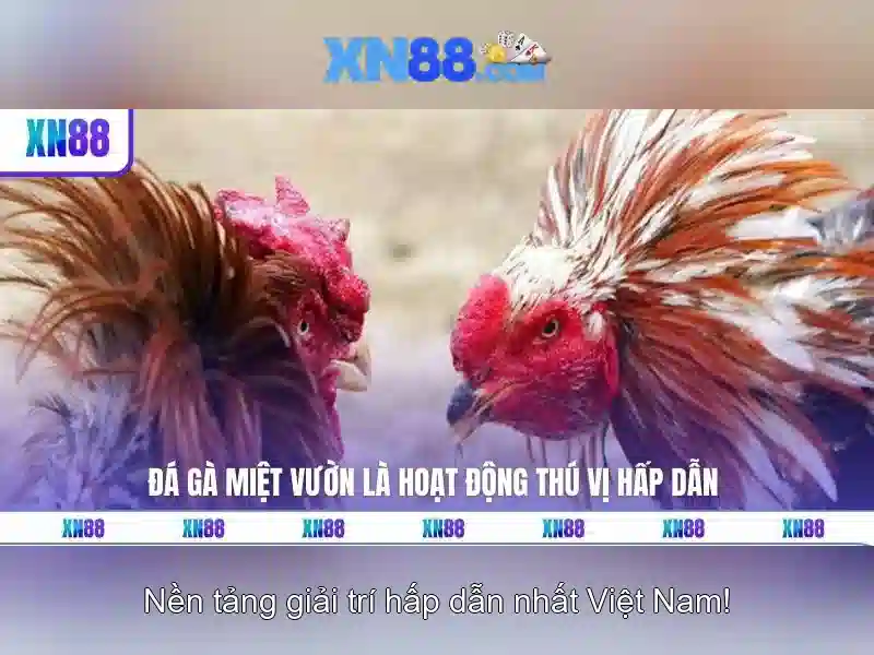 💎dune slots💎 💎dune slots💎