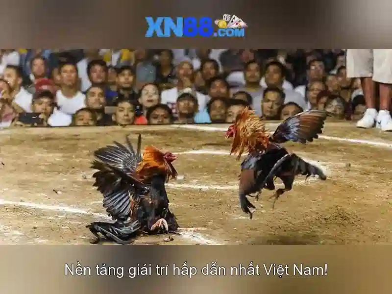 💎placa base 8 slots ram💎 💎placa base 8 slots ram💎