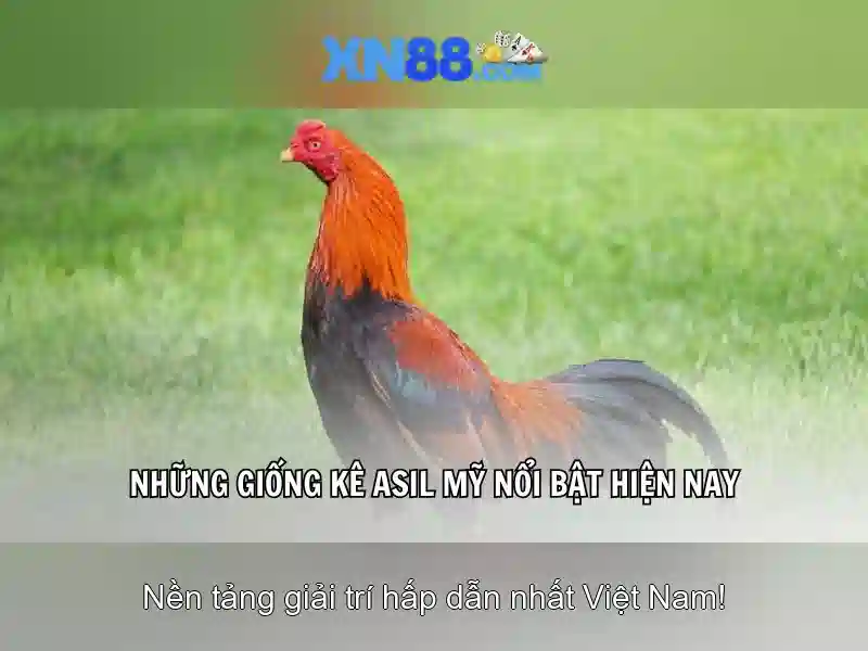 💎lucky link slots review💎 💎lucky link slots review💎