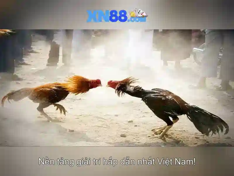 💎live giochi slot machine gratuiti💎 💎live giochi slot machine gratuiti💎