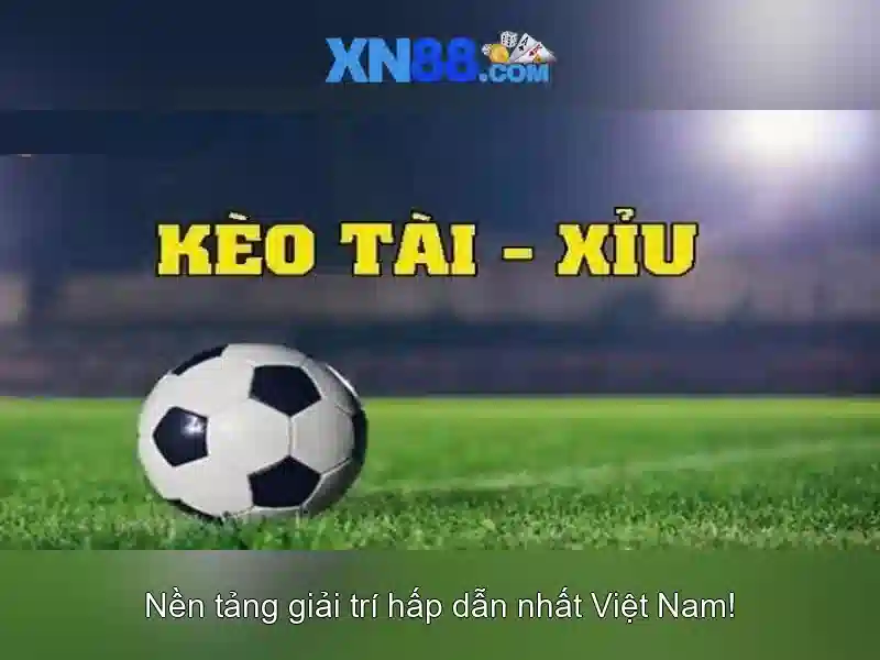 💎ti le cá cuoc💎 💎ti le cá cuoc💎