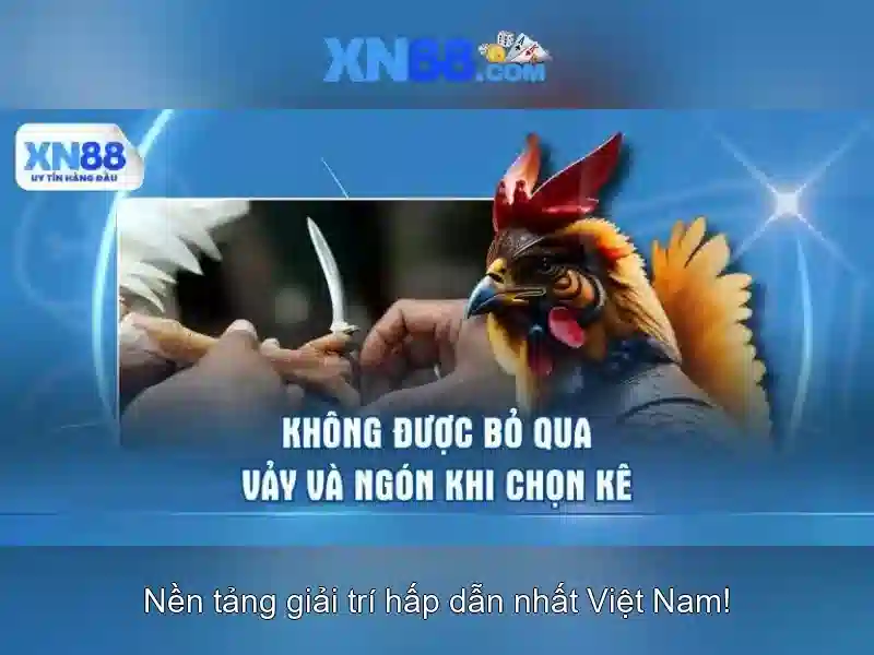 💎kubet88 cập nhật kèo nhà cái💎 💎kubet88 cập nhật kèo nhà cái💎