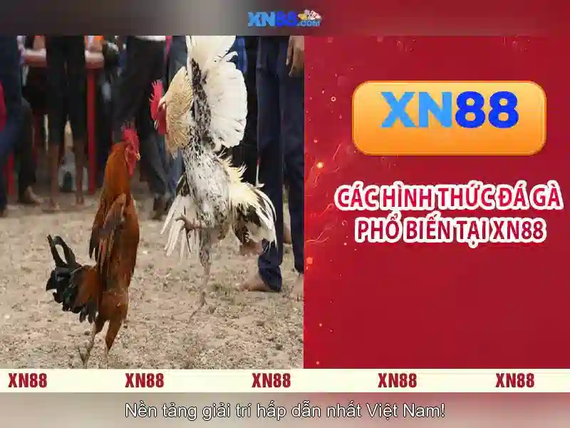 💎cách hack game câu cá và cuộc sống💎 💎cách hack game câu cá và cuộc sống💎