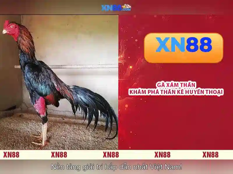 💎zeed 24th slot💎 💎zeed 24th slot💎