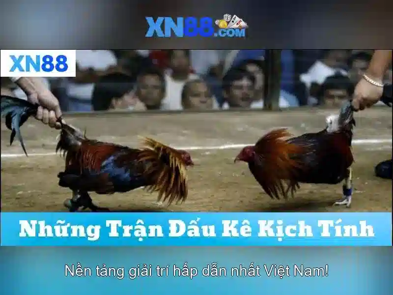 💎188bet-thiên đường cá cược💎 💎188bet-thiên đường cá cược💎