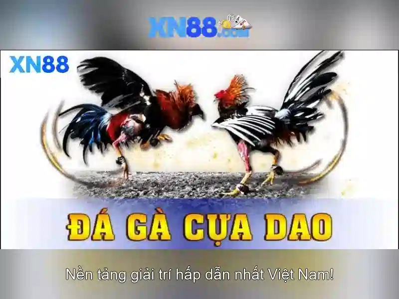 💎ông đỗ xuân lập đánh bạc💎 💎ông đỗ xuân lập đánh bạc💎