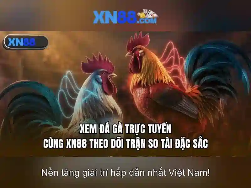 💎soi keo nha cai truc tiep bong da💎 💎soi keo nha cai truc tiep bong da💎