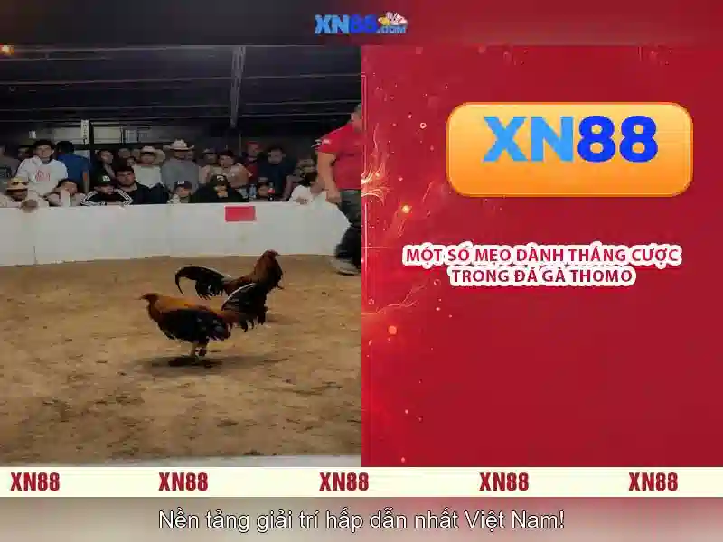 💎nhà cái uy tín223💎 💎nhà cái uy tín223💎